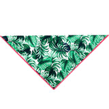 Jungle – Monstera White / Green Scarf (Neon Coral)