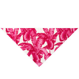 Jungle - Pink Palm Scarf (Off-White)