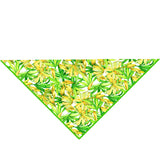 Euphoria – Secret Garden Scarf (Neon Green)