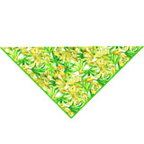 Euphoria – Secret Garden Scarf (Neon Green)