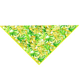 Euphoria – Secret Garden Scarf (Neon Yellow)